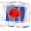 Logo of the CoCliServ project